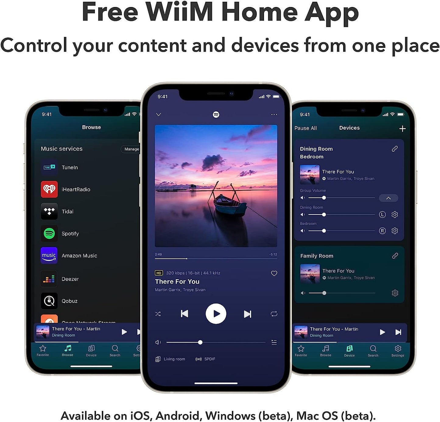 WiiM Mini-Streaming & Home Media Players-WiiM-PremiumHIFI