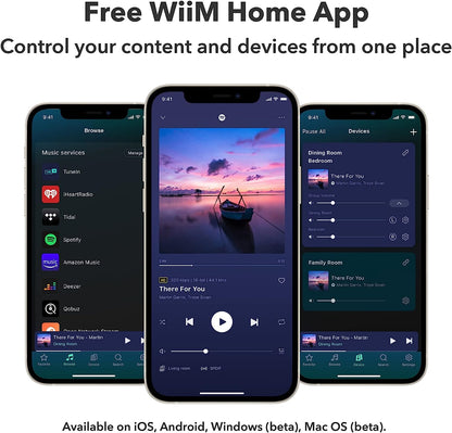 WiiM Mini-Streaming & Home Media Players-WiiM-PremiumHIFI