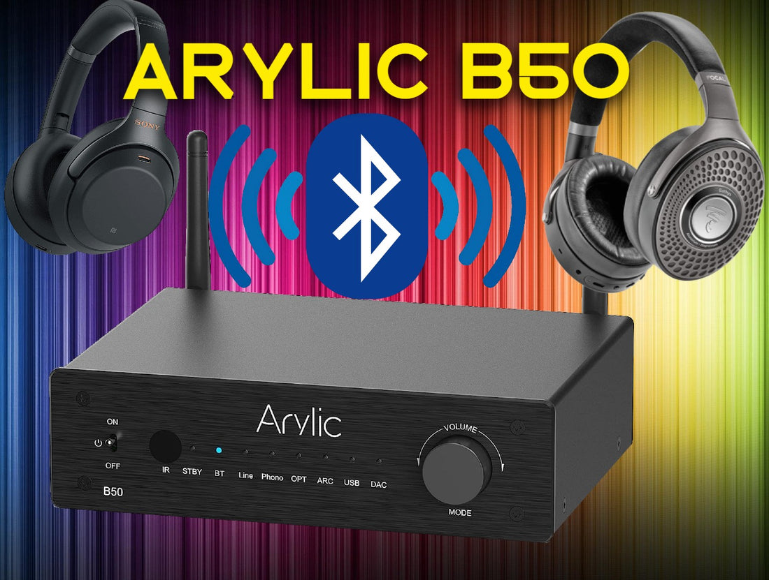 Arylic B50