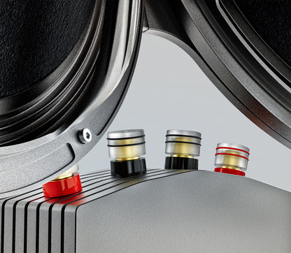 Reflector Audio Bespoke P18 Pair