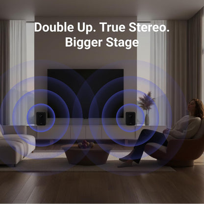 WiiM Sound Smart Speaker