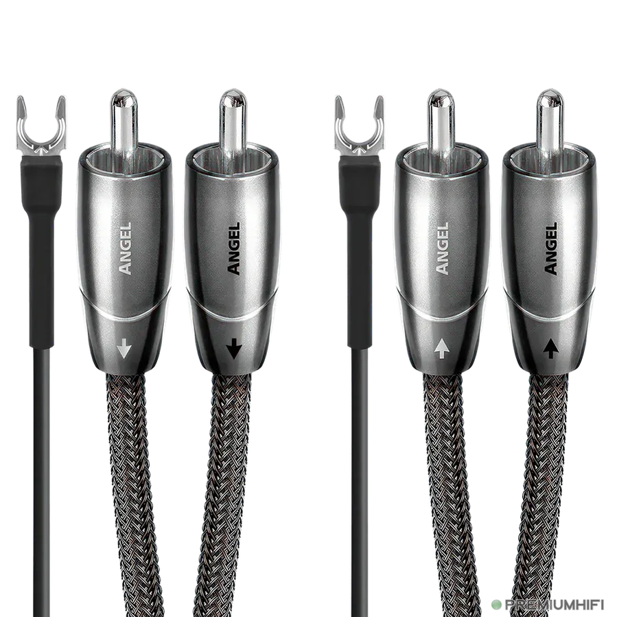 AudioQuest-Angel Turntable 72v DBS-PremiumHIFI