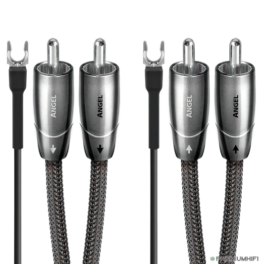 AudioQuest-Angel Turntable 72v DBS-PremiumHIFI