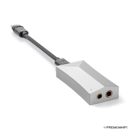 Astell&Kern AK HC4 USB Type-C Dual DAC Cable-🟢 PremiumHIFI audio store