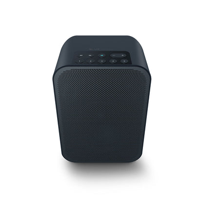 🔊 Bluesound PULSE FLEX 2i 🔵 Wireless Hi-Fi Speaker
