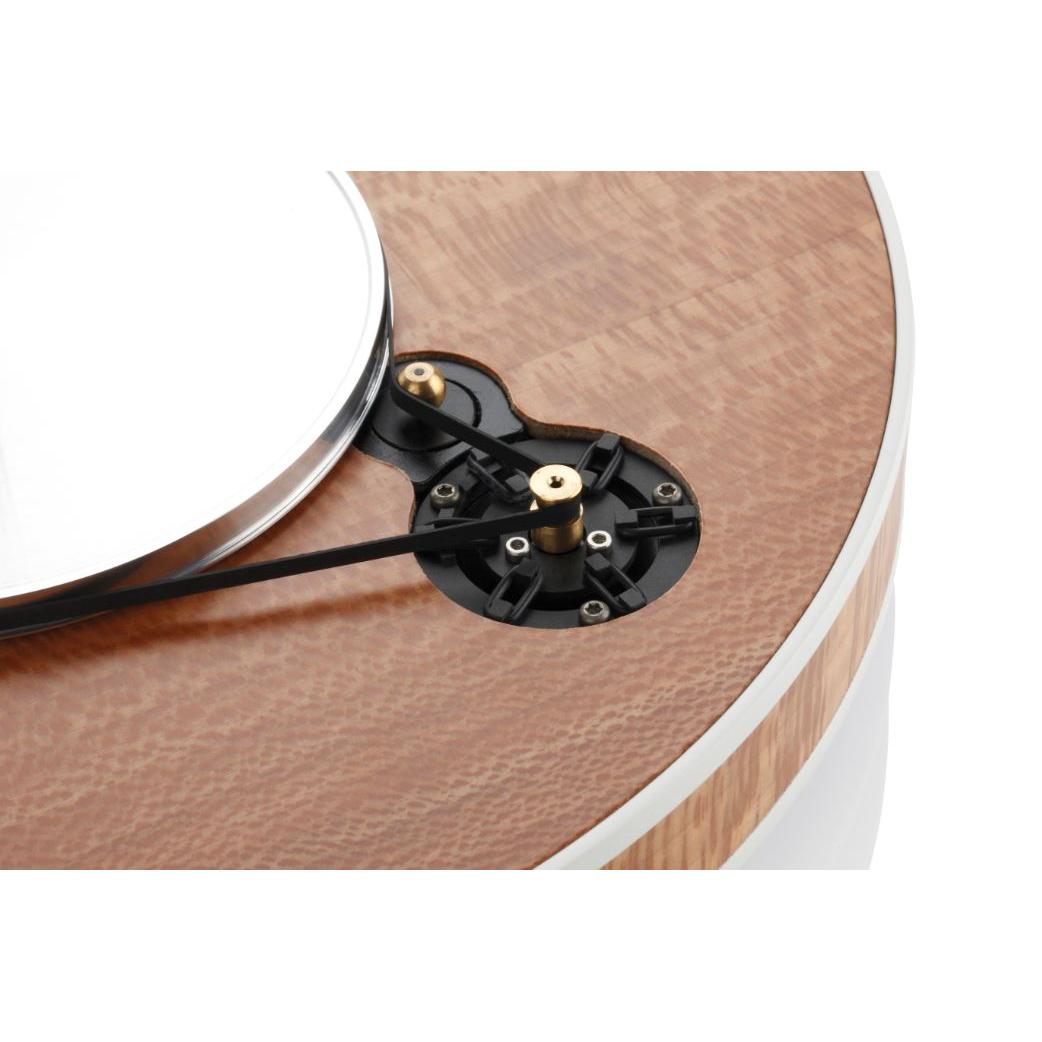 Clearaudio Celebrity “Al Di Meola” Edition Turntable-🟢 PremiumHIFI audio store