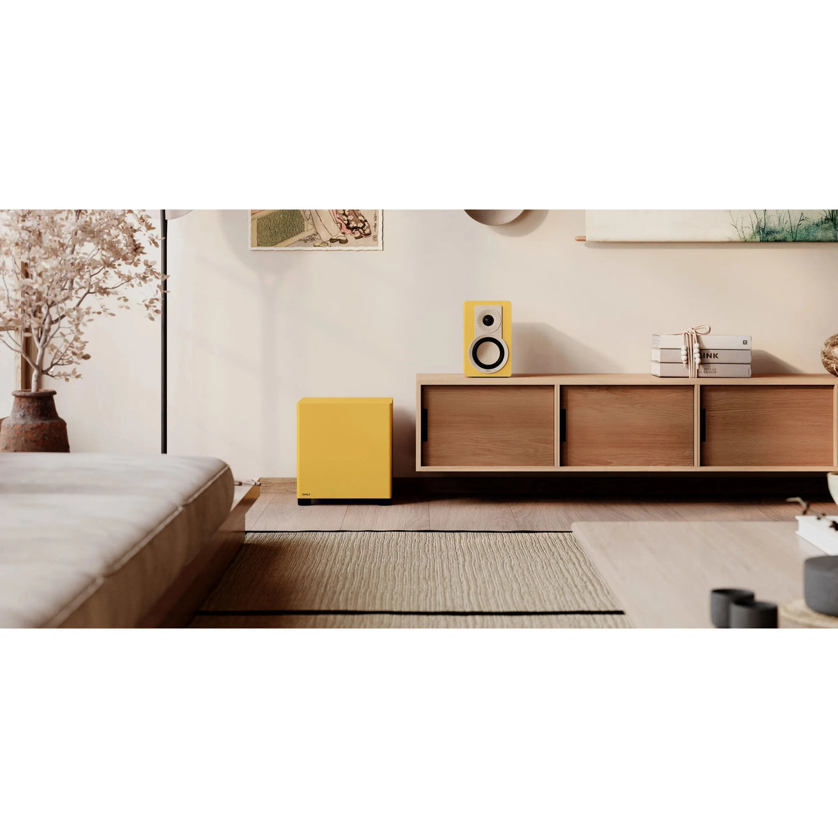 DALI BASIK SUB C-8 D Subwoofer-🟢 PremiumHIFI audio store