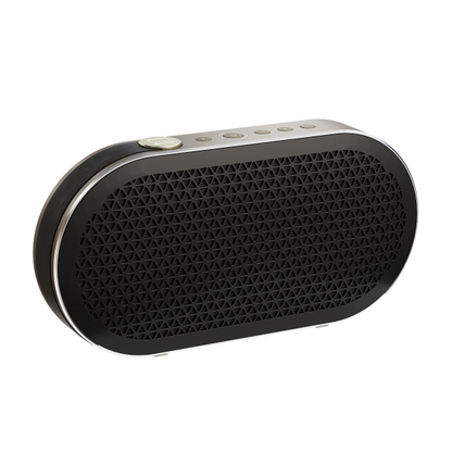 DALI KATCH G2 Portable Bluetooth Speaker-🟢 PremiumHIFI audio store. We craft High Fidelity sound wherever you are