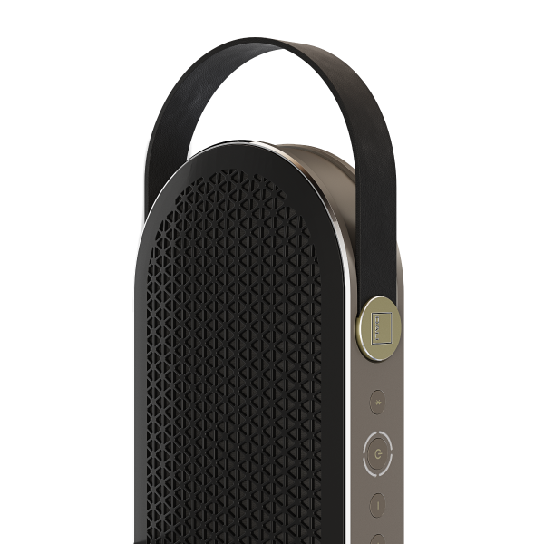 DALI KATCH G2 Portable Bluetooth Speaker-🟢 PremiumHIFI audio store. We craft High Fidelity sound wherever you are