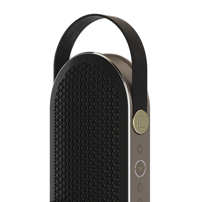 DALI KATCH G2 Portable Bluetooth Speaker-🟢 PremiumHIFI audio store. We craft High Fidelity sound wherever you are