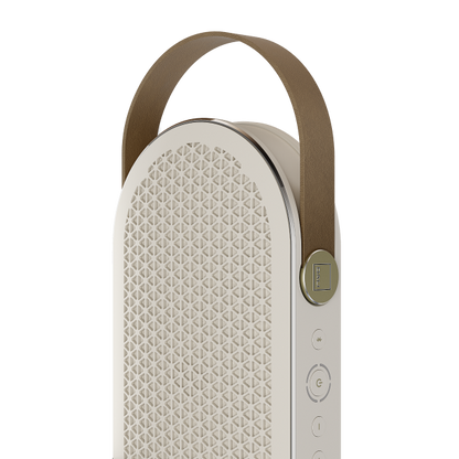 DALI KATCH G2 Portable Bluetooth Speaker-🟢 PremiumHIFI audio store. We craft High Fidelity sound wherever you are