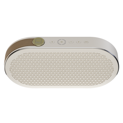 DALI KATCH G2 Portable Bluetooth Speaker-🟢 PremiumHIFI audio store. We craft High Fidelity sound wherever you are