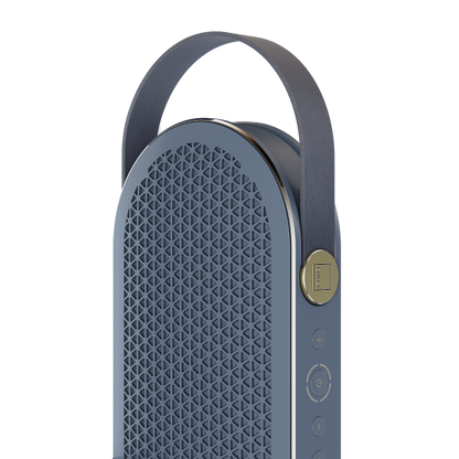 DALI KATCH G2 Portable Bluetooth Speaker-🟢 PremiumHIFI audio store. We craft High Fidelity sound wherever you are