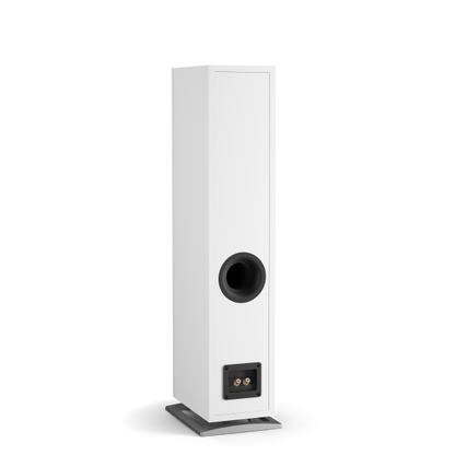 DALI OBERON 5 Floorstanding Speakers (Pair)-🟢 PremiumHIFI audio store. We craft High Fidelity sound wherever you are