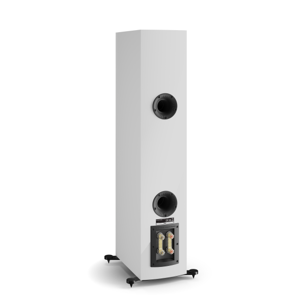 DALI RUBIKORE 6 Floorstanding Speakers (Pair)-🟢 PremiumHIFI audio store. We craft High Fidelity sound wherever you are