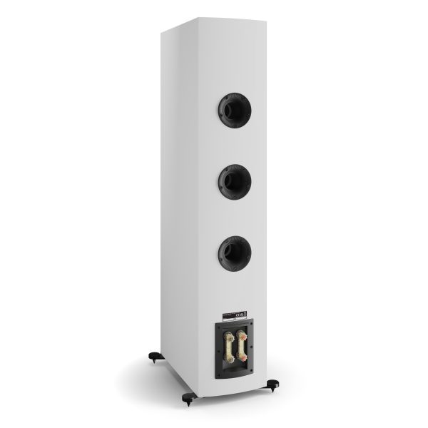 DALI RUBIKORE 8 Floorstanding Speakers (Pair)-🟢 PremiumHIFI audio store. We craft High Fidelity sound wherever you are