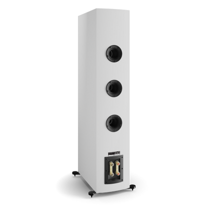 DALI RUBIKORE 8 Floorstanding Speakers (Pair)-🟢 PremiumHIFI audio store. We craft High Fidelity sound wherever you are