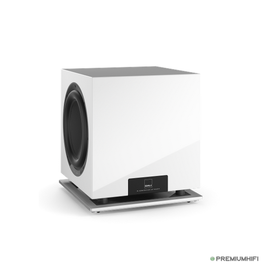 DALI SUB P-10 DSS – Subwoofer-🟢 PremiumHIFI audio store. We craft High Fidelity sound wherever you are
