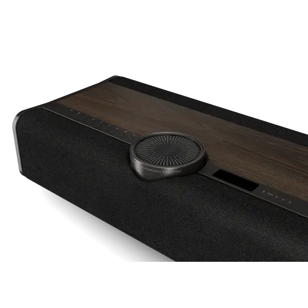 DALI VEGA Wireless Sound System-🟢 PremiumHIFI audio store