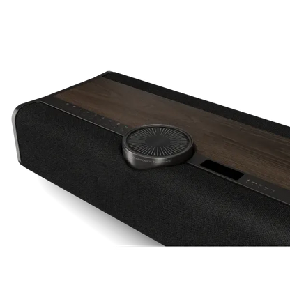 DALI VEGA Wireless Sound System-🟢 PremiumHIFI audio store