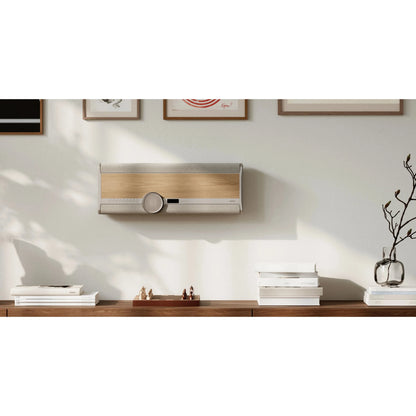 DALI VEGA Wireless Sound System-🟢 PremiumHIFI audio store