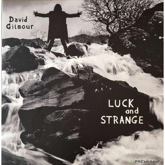 David Gilmour - Luck and Strange Standard LP-🟢 PremiumHIFI audio store