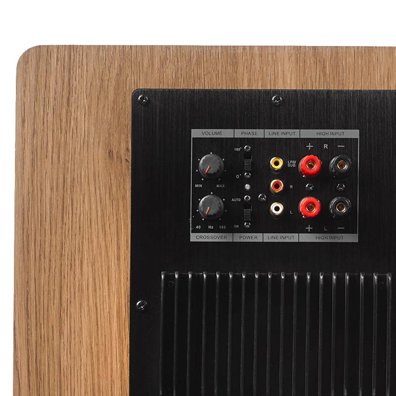 Dynavoice-Dynavoice Challenger Sub 10-PremiumHIFI