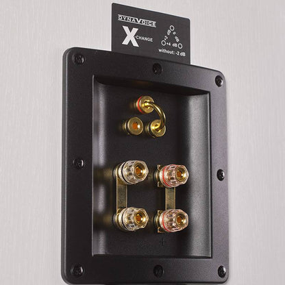 Dynavoice-Dynavoice DEFINITION DC-5-PremiumHIFI