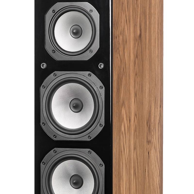 Dynavoice-Dynavoice M-65 Challenger Pair-PremiumHIFI