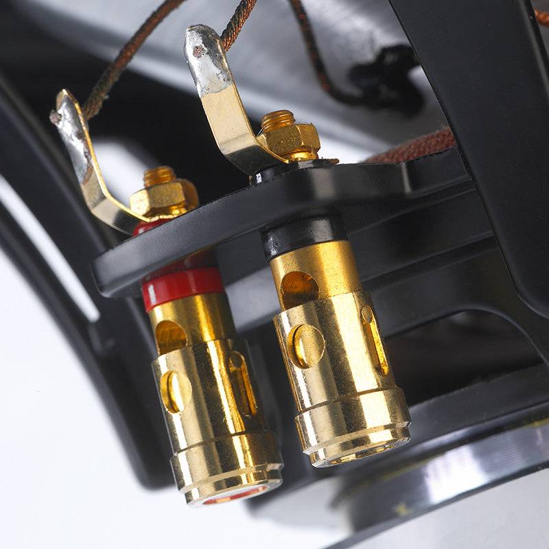 Dynavoice-Dynavoice Thunder T-12-PremiumHIFI