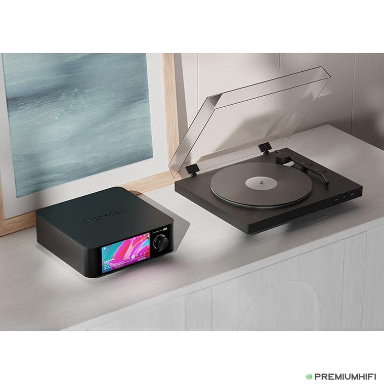 EverSolo Play / CD Edition – All-in-One Streaming DAC & Amplifier-🟢 PremiumHIFI audio store. We craft High Fidelity sound wherever you are