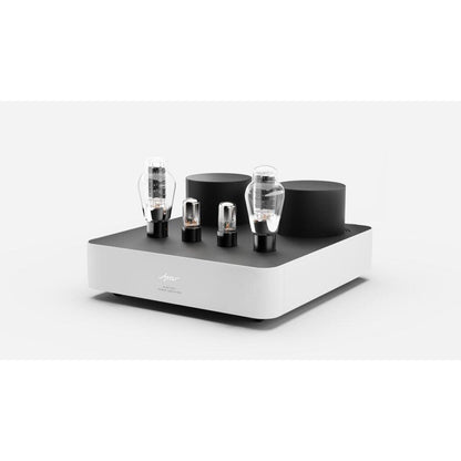 Fezz Audio Mira Ceti 300B EVOLUTION Mono Power Amplifier-🟢 PremiumHIFI audio store. We craft High Fidelity sound wherever you are