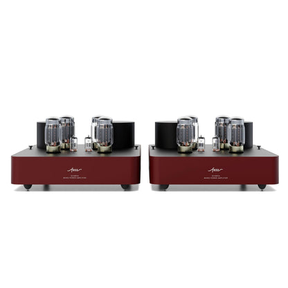 Fezz Audio Olympia Power Amplifier Pair-🟢 PremiumHIFI audio store. We craft High Fidelity sound wherever you are