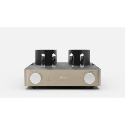 Fezz Audio Omega Lupi EVOLUTION Headphone Amplifier-🟢 PremiumHIFI audio store. We craft High Fidelity sound wherever you are