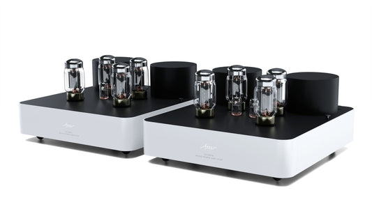 Fezz Audio-Fezz Audio Olympia Power Amplifier PAIR-PremiumHIFI