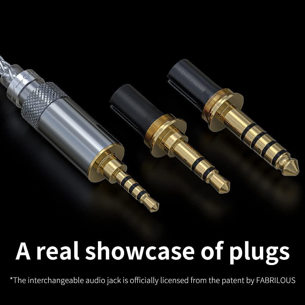 FiiO FH5S Black In-Ear Wired Headphones-🟢 PremiumHIFI audio store