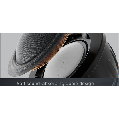 FiiO SP3 Active Hi-Fi Speakers-🟢 PremiumHIFI audio store