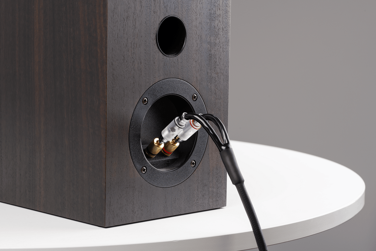 Pro-Ject Connect it LS S connected to loudspeaker terminals