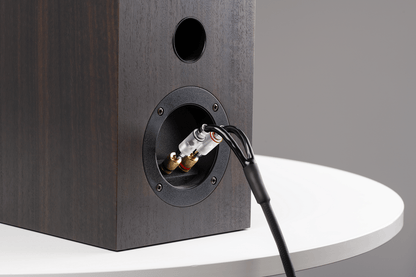 Pro-Ject Connect it LS S connected to loudspeaker terminals