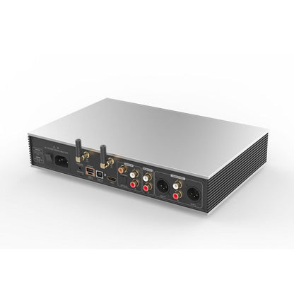 Luxsin X9 DAC & Headphone Amplifier-🟢 PremiumHIFI audio store