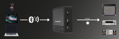 Oehlbach-OEHLBACH Art. No. 6054 BTR Innovation 5.2 Bluetooth TX/RX BLACK-PremiumHIFI