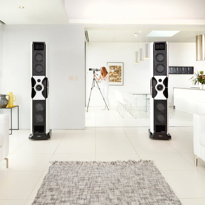 🔊 PMC fact fenestria pair 🎵 Floorstanding HI FI speakers-🟢 PremiumHIFI audio store. We craft High Fidelity sound wherever you are