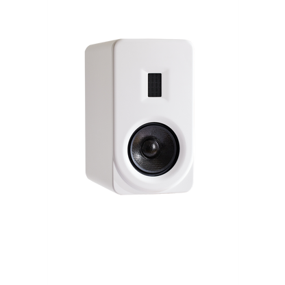 PS Audio-Aspen FR5 PAIR-PremiumHIFI