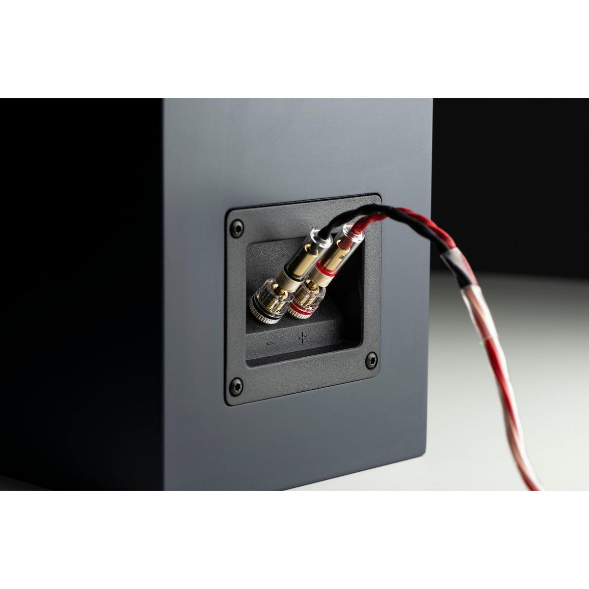 Pro-Ject Connect it LS E Speaker Cable Stereo Set-🟢 PremiumHIFI audio store