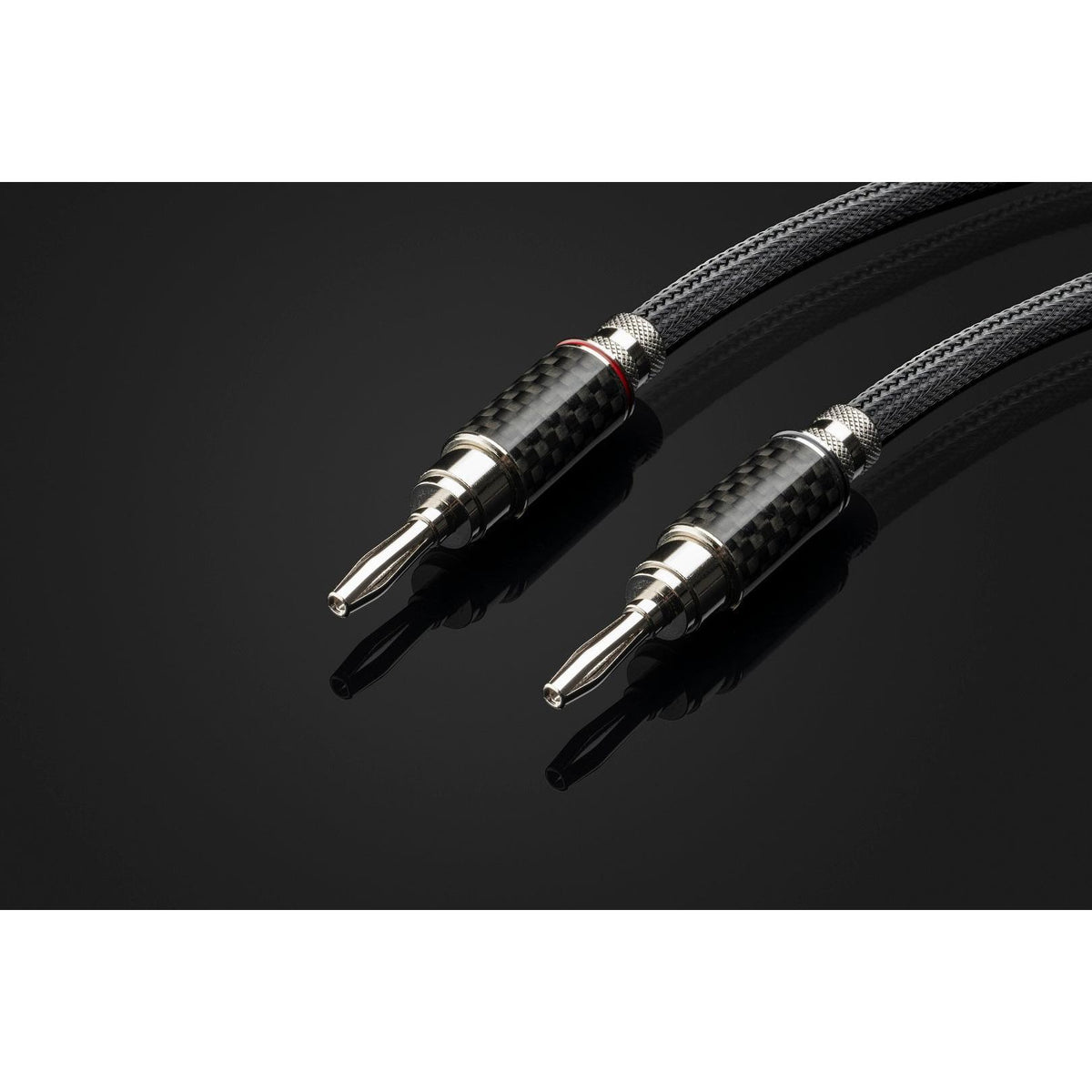 Pro-Ject Connect it LS RS Speaker Cable Stereo Set-🟢 PremiumHIFI audio store