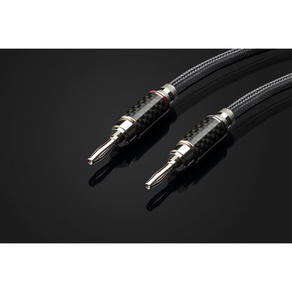 Pro-Ject Connect it LS RS Speaker Cable Stereo Set-🟢 PremiumHIFI audio store