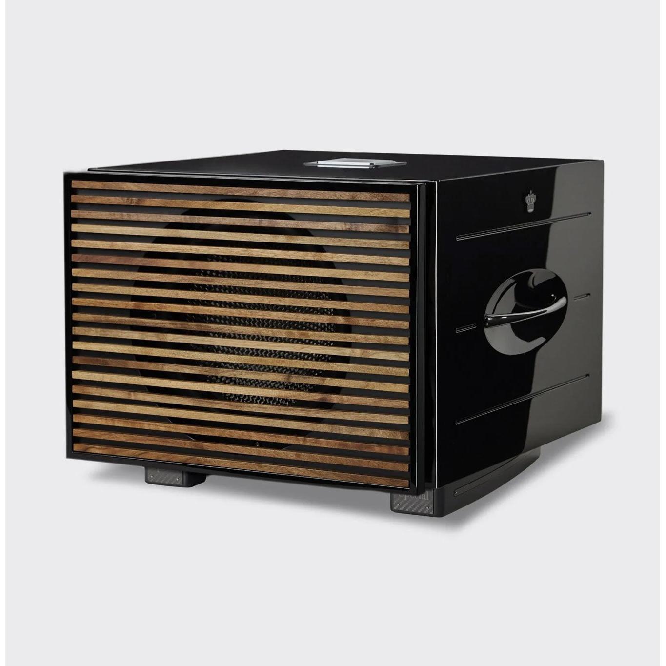 REL Carbon Special Black Label — Hi-Fi Subwoofer-🟢 PremiumHIFI audio store. We craft High Fidelity sound wherever you are