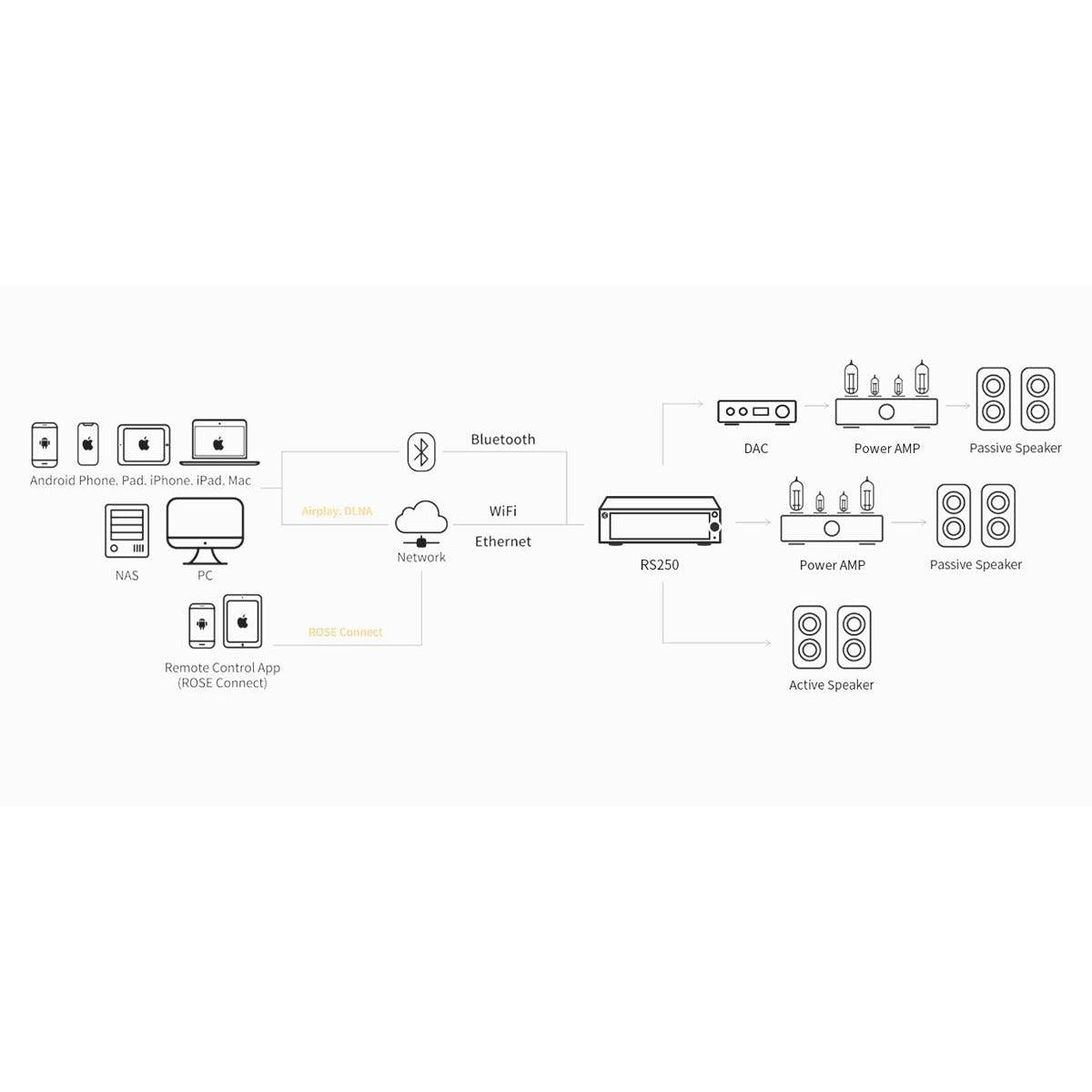 Rose-RS250-PremiumHIFI