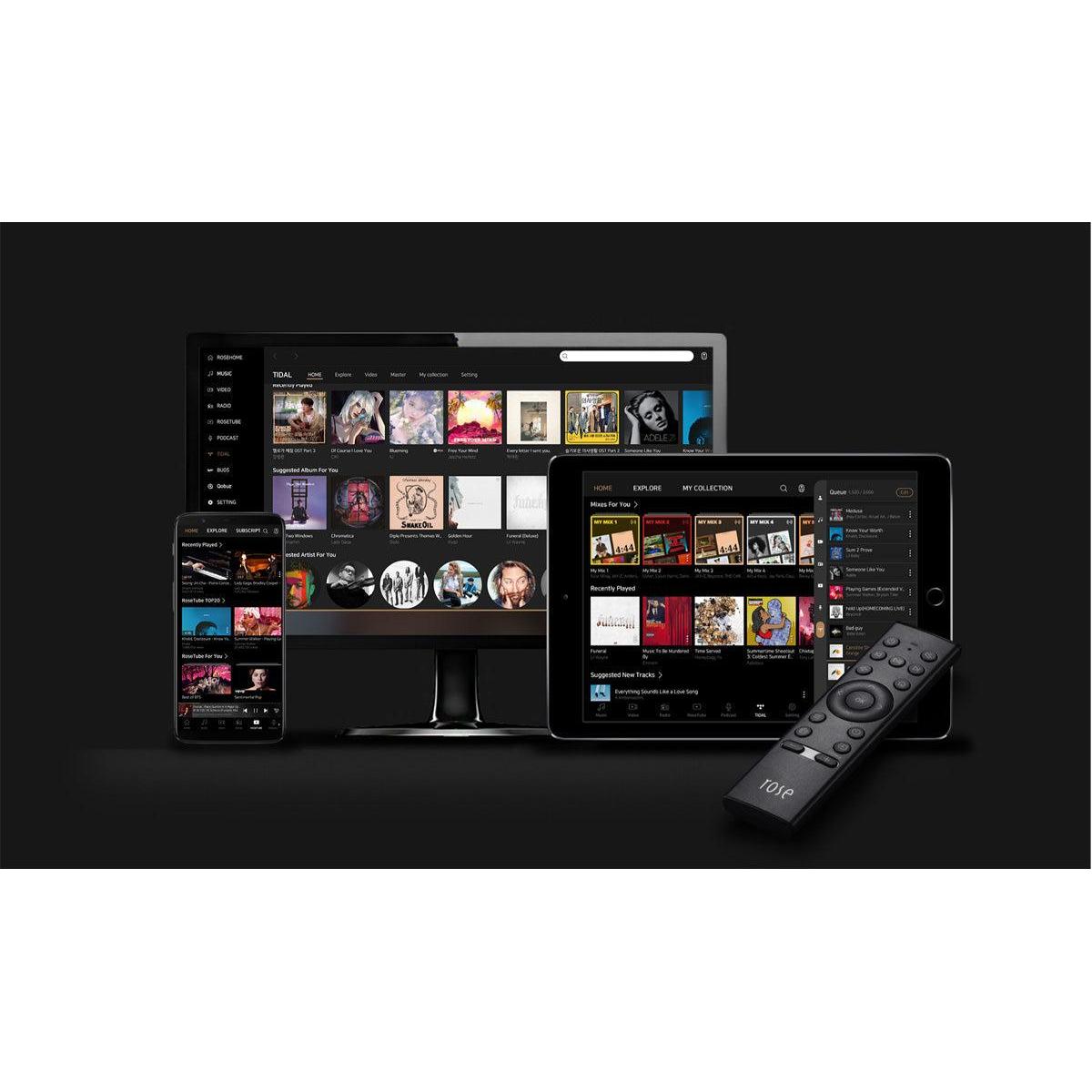 Rose-RS250-PremiumHIFI