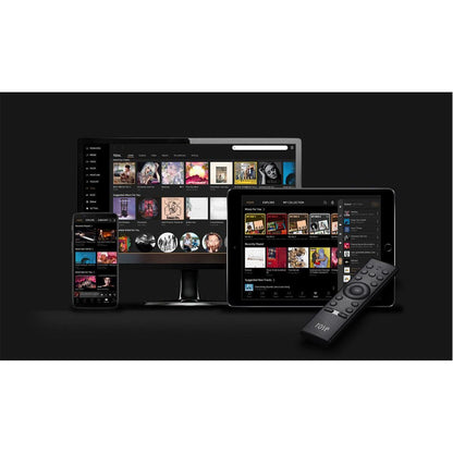 Rose-RS250-PremiumHIFI